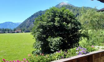 A green meadow with a large tree and colorful flowers in the foreground. In the background, impressive mountains are visible under a clear blue sky.