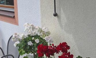 A pretty welcome sign hangs on the wall. Below it, red and white flowers bloom in a flower pot.