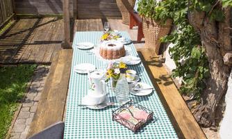 A beautiful table in the garden, set with checkered tablecloths and dishes. On the table are flowers and a cake for the celebration.