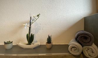 A relaxing wellness corner with an orchid and two small plants. Next to the plants are two rolled-up towels.