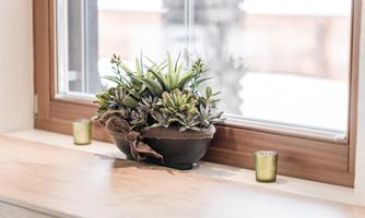 A decorative plant arrangement in a pot is standing on the windowsill. Next to it are two small green tealights placed.