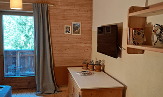 A cozy living room with wooden walls and a smart TV mounted on the wall. The patio door with curtains lets in a lot of light, and plants adorn the dresser.