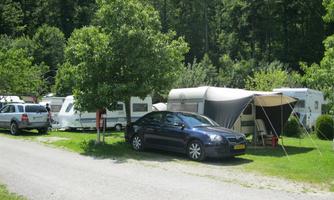 A campsite with several motorhomes and cars under trees. The surroundings are green and quiet, ideal for a pleasant stay in nature.