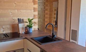 A modern kitchen with wooden paneling and clean lines. It features a black sink, cooking appliances, and a small plant on the countertop.