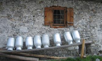 An old stone wall with a window and wooden shutters. On a wooden shelf, several silver milk buckets are standing.