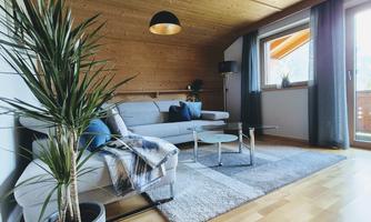 A cozy living room with a bright wooden ceiling and a large window. A gray sofa, a rug, and a plant are in the room.