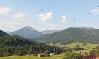 A picturesque landscape with green meadows and mountains in the background. In the foreground, colorful flowers bloom under a clear blue sky.