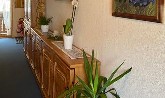 A bright hallway with wooden furniture and green plants. A painting with blue flowers hangs on the wall.