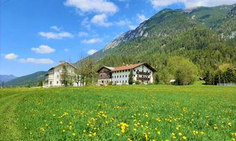 A picturesque landscape with green meadows and yellow dandelions. In the background, houses and majestic mountains can be seen.