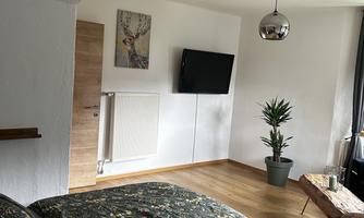 A cozy bedroom with a large bed and a television on the wall. A plant is on a wooden table, and the room feels bright and inviting.