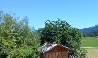 A small wooden house surrounded by trees and greenery. The sky is blue and clear.