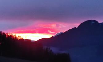 Natur_pur[1]