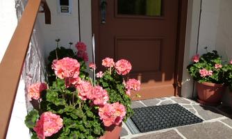 An entrance with a brown door and potted plants. Pink geraniums are blooming on both sides of the door.