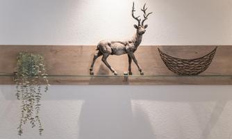 A decorative wall shelf with a stylized deer and a mesh basket. Next to it, a plant grows in a modern pot.
