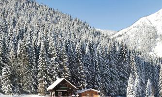 A picturesque winter landscape with snow-covered trees and a cozy wooden house. The blue sky over the mountains completes the idyllic scene.