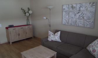 A modern living space with a grey sofa and colorful cushions. In the background, there is a sideboard and an art plate on the wall.