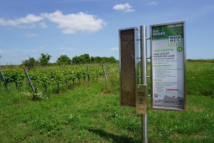 Wein-Tresore am WeinWeg Gols