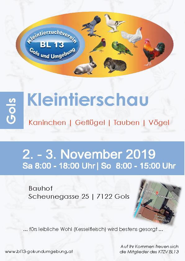 Gols - 50 Jahre Musikverein Gols - volunteeralert.com