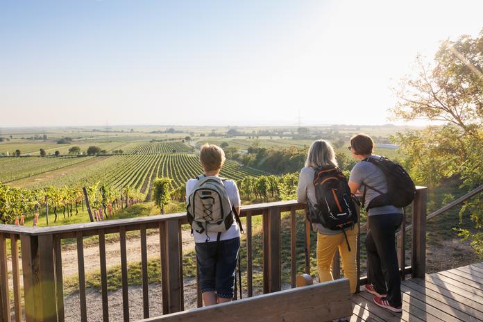 WeinWegGols Aussichtsplattform Ungerberg