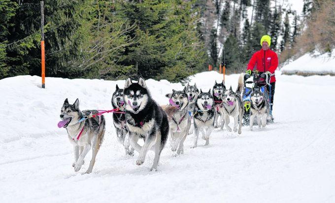 Husky-Touren