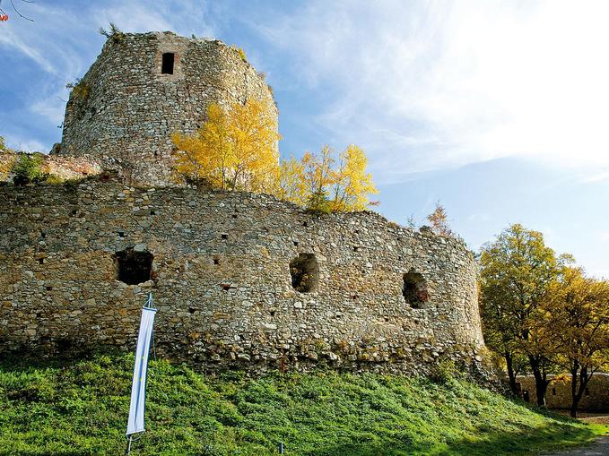 Burgruine Landsee