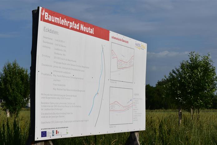 Baumlehrpfad Neutal