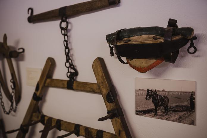 Museum Jois