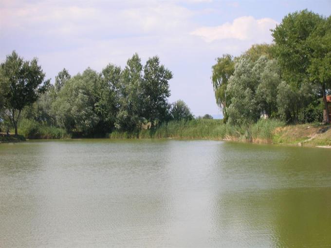 Finklacke