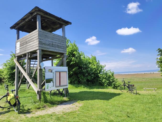 Aussichtsturm Zitzmannsdorfer Wiesen