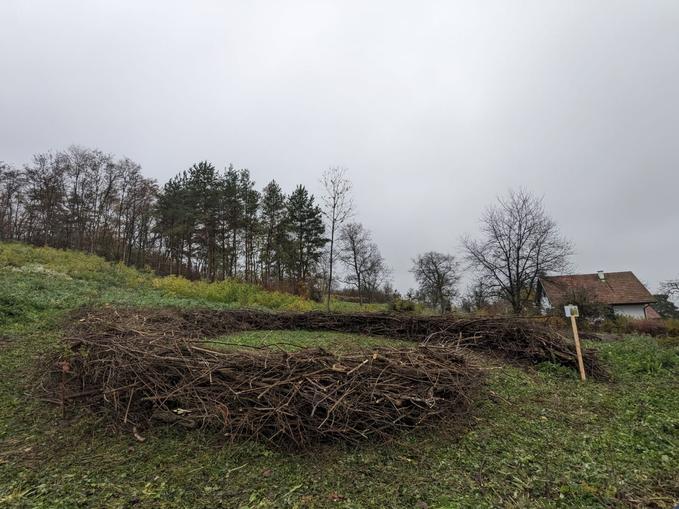 Pflegeaktion im Schaugarten