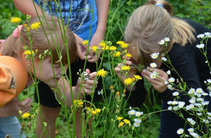 Naturschule Rabe