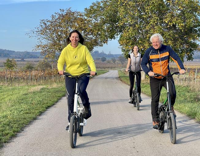 OCT - Segway, Golfcar, Streetstepper Weingarten in Jois