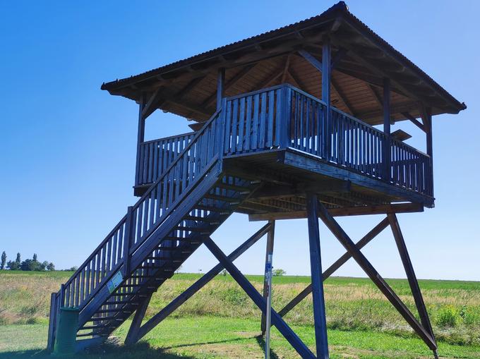 Aussichtsturm-Grenzturm