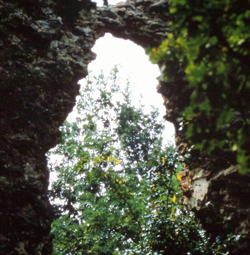 Burgruine Neuhaus am Klausenbach