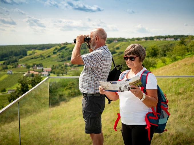 Weinblick am Eisenberg