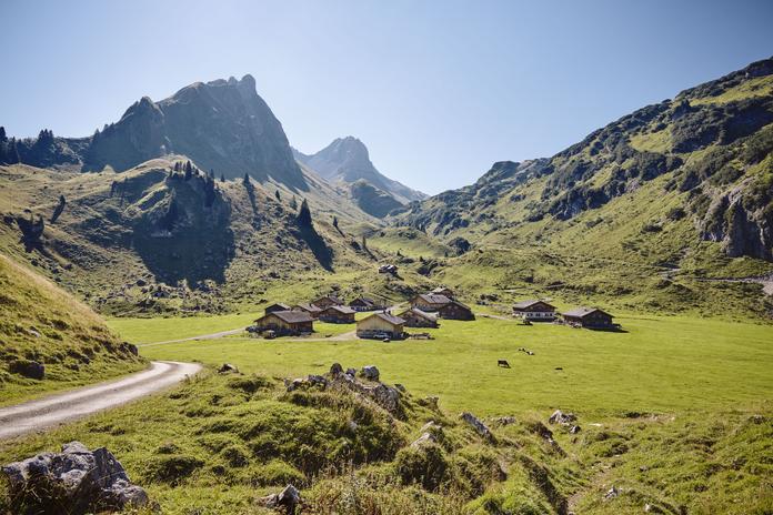 Spezialitäten vom Wild auf der Alpe Laguz