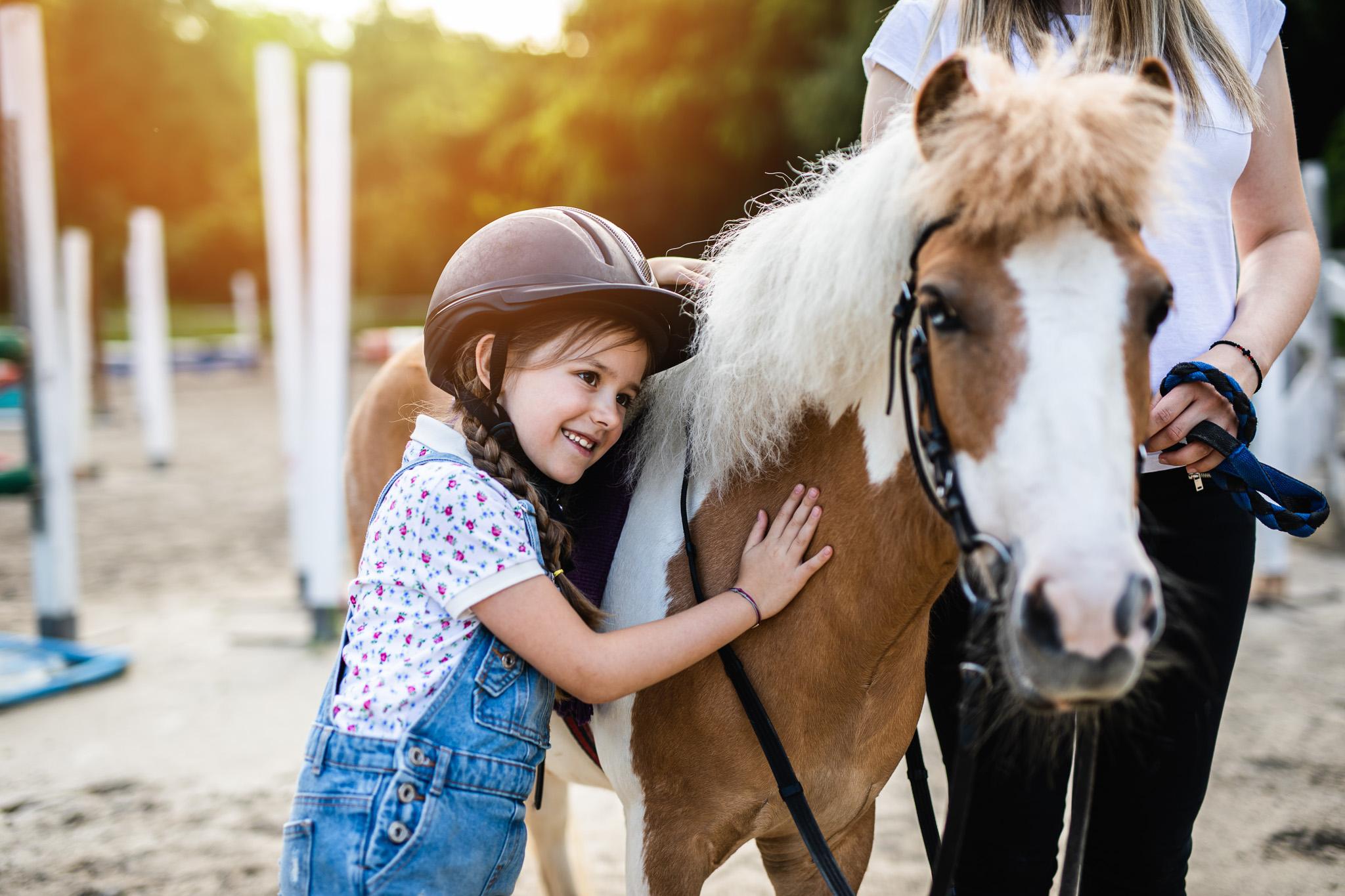 Das Leben ist ein Ponyhof