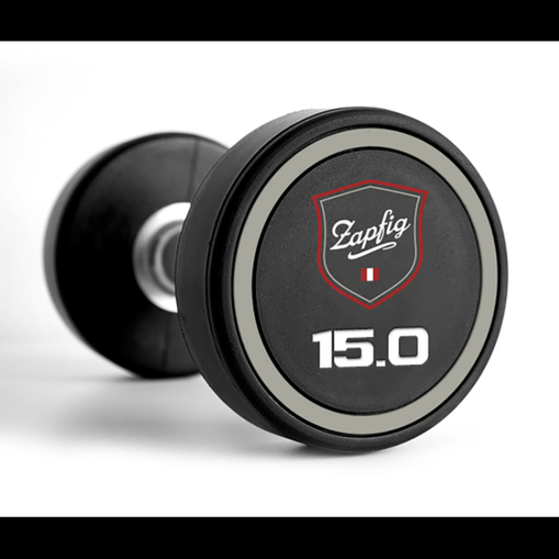 Zapfig Gym