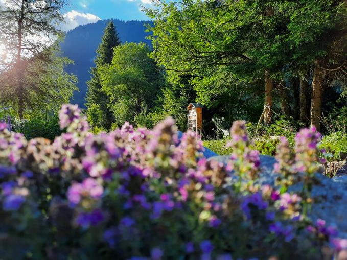 Outdoor Yoga im Kneipp & Relax Garten Alfenz