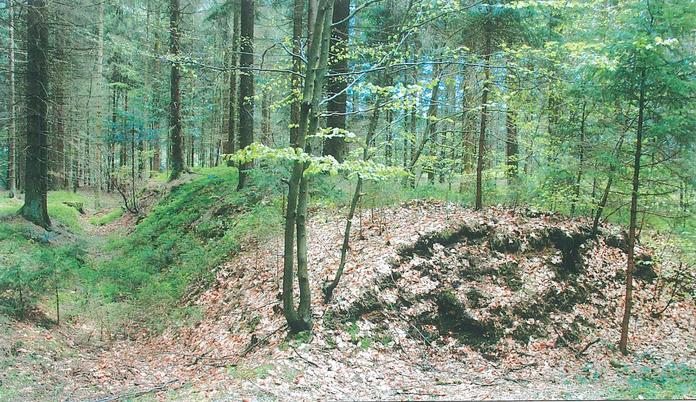Schanzanlage