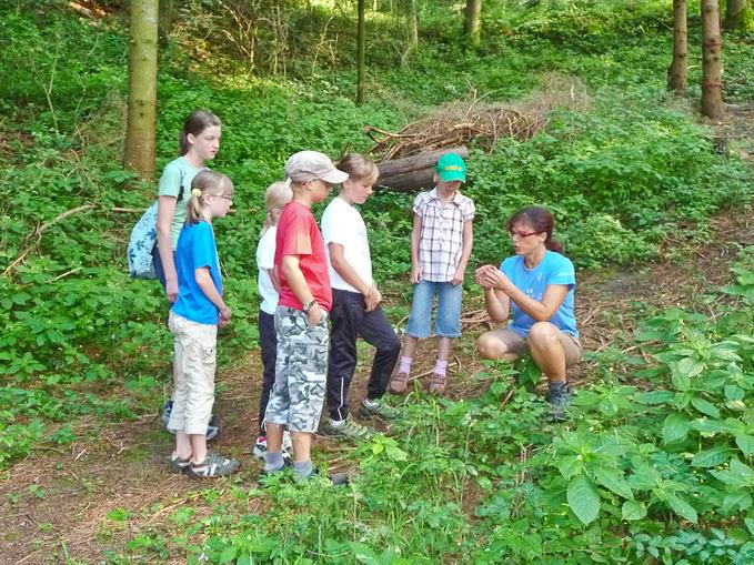 Landschaftsschule Donauschlinge - Waldschule