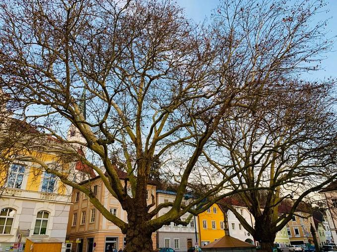 Marktplatz