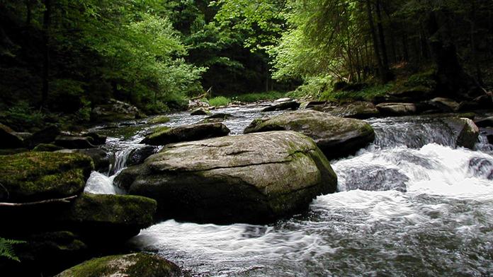 Landschaftsschutzgebiet Bärnloch