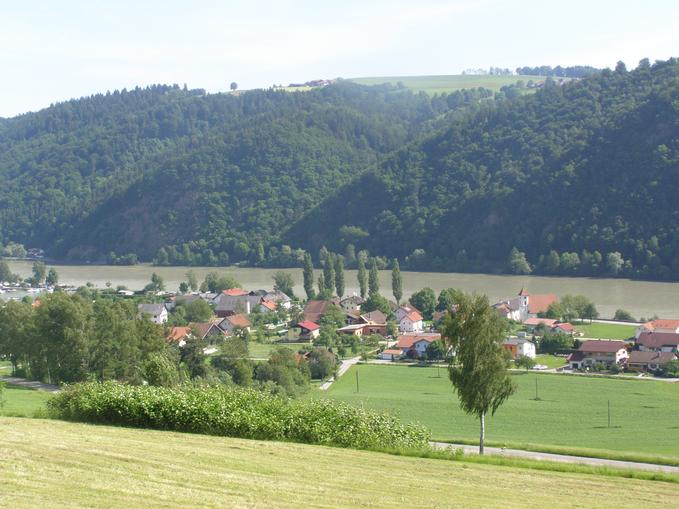 Fischen in der Donau