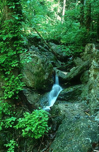 Pesenbachtal Naturschutzgebiet