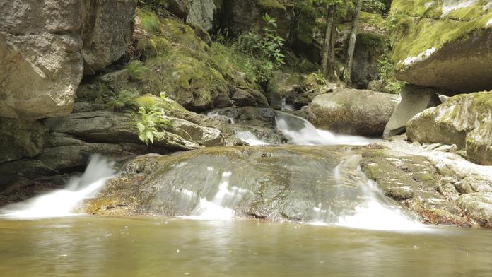 Pesenbachtal