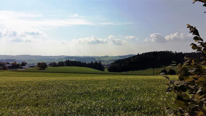 Aussichtspunkt Grain