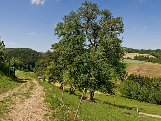 Panoramablick Fürstberger