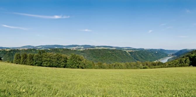 Panoramablick Thron
