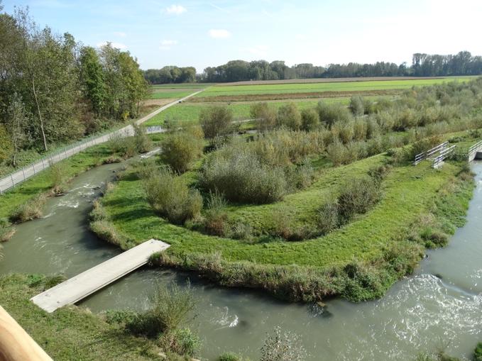 Fischaufstieg in Au an der Donau
